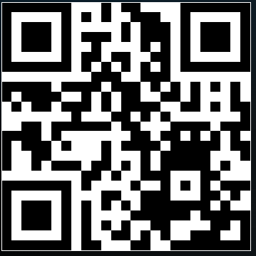 Qr Code 7