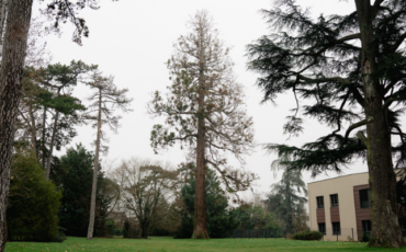 Copie de Blog actu une (2)